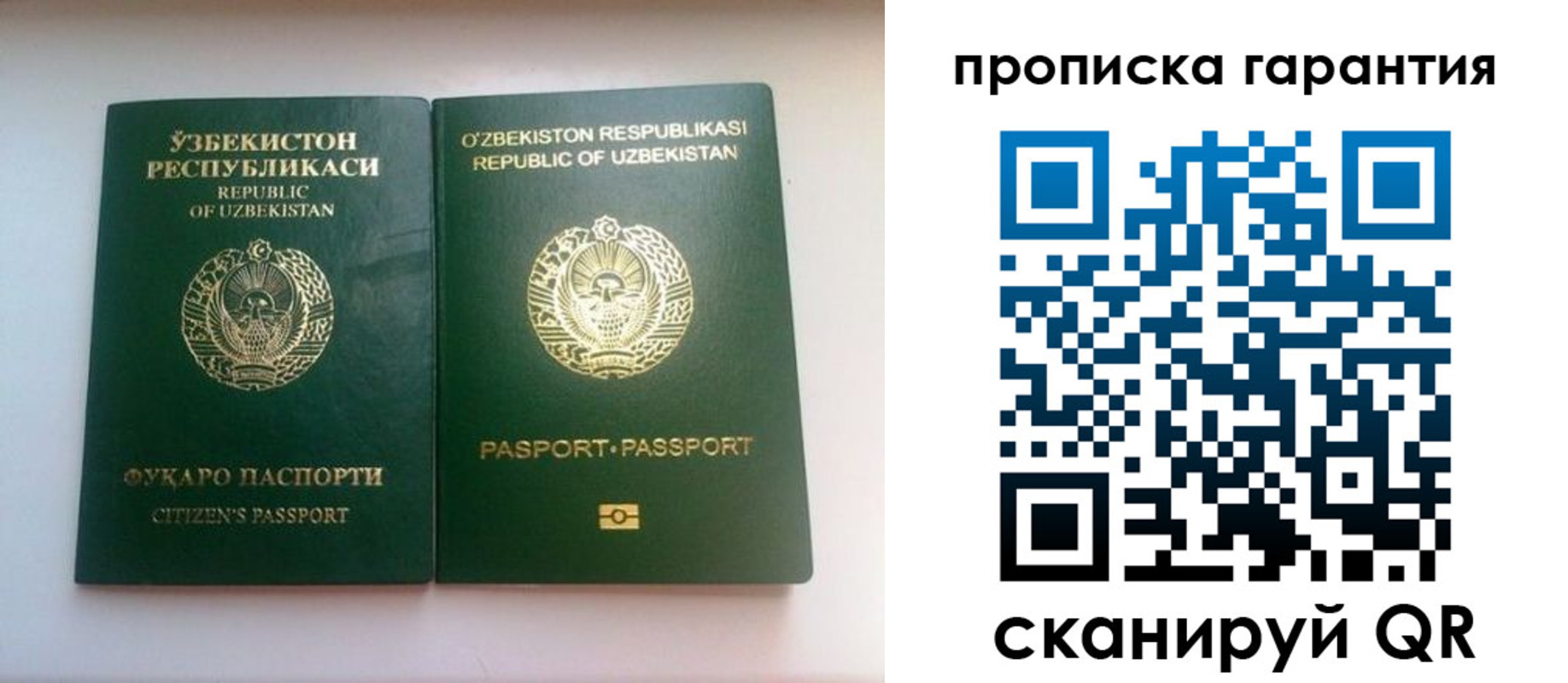 временная регистрация недорого в Светогорске